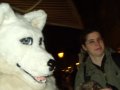 DSCF2695.JPG